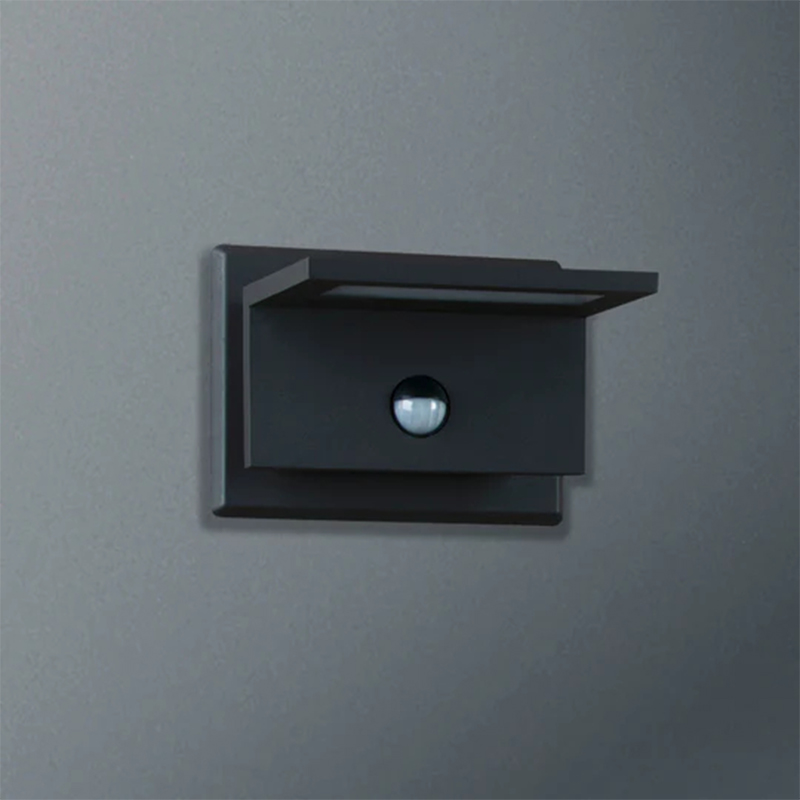 17309 Applique murale d'extérieur LED Noir/Argent/Blanc IP54 10W 680Lm