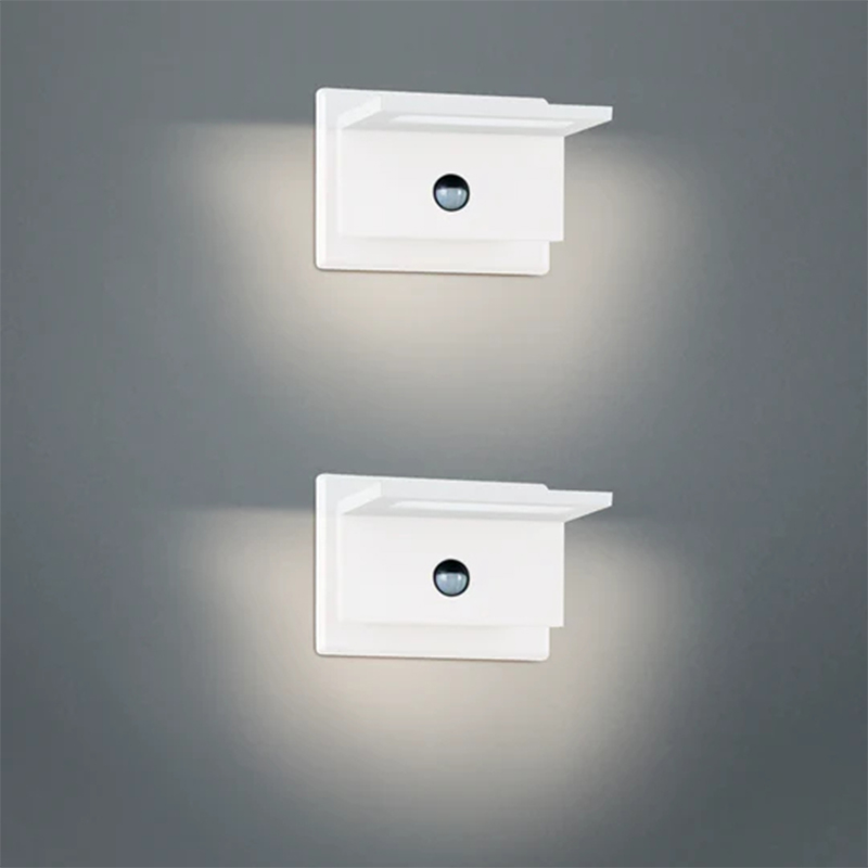 17311 Lot de 2 appliques murales d'extérieur à LED